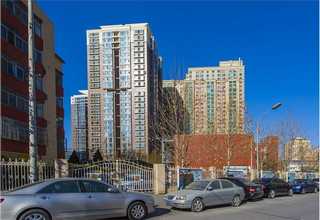 宁河区大棚蔬菜种植技术指导